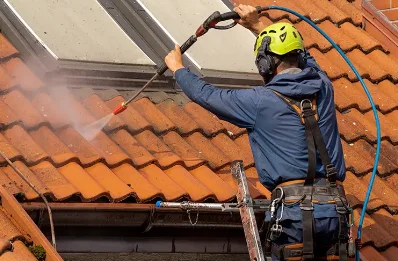 Démoussage et hydrofuge de toiture à Ustou